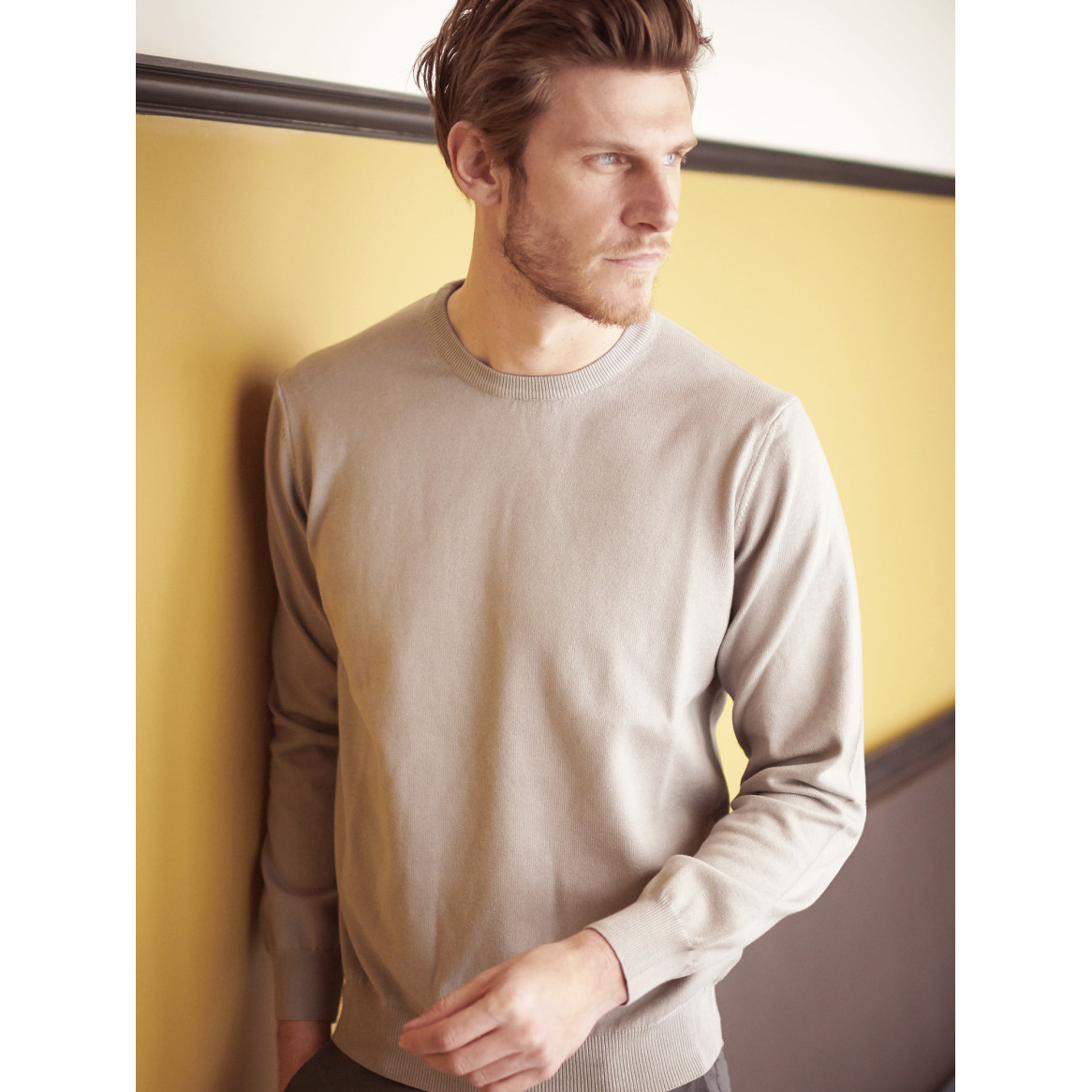 Pull col rond 100% coton gris